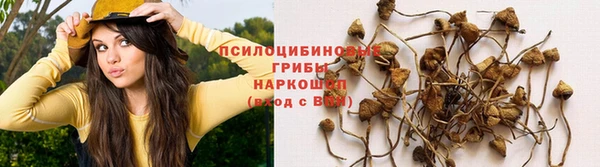 спиды Арсеньев