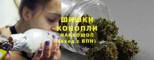 ешки Аркадак